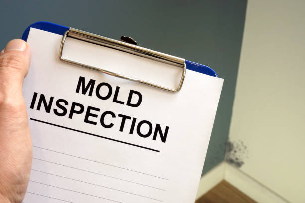 Best Biohazard Mold Removal  in Nanawale Estates, HI